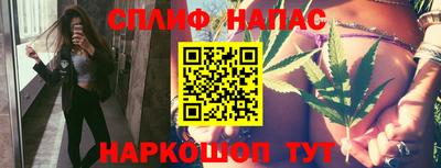 тгк Сланцы