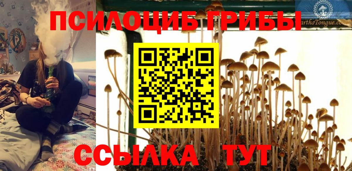 Ноябрьск  Галлюциногенные грибы ЛСД  Вход с VPN 