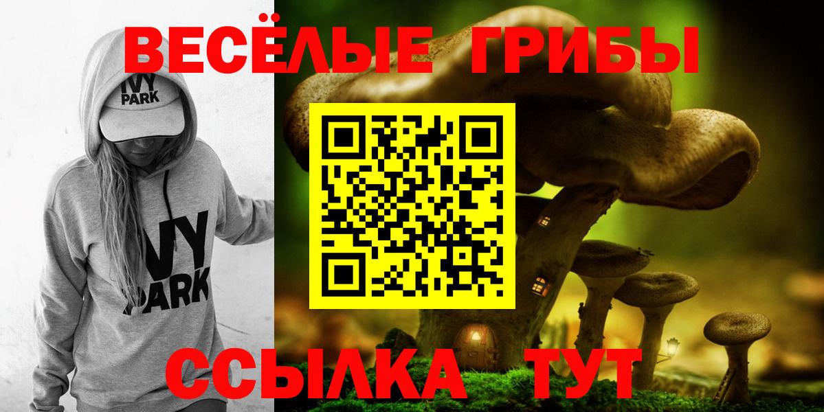 МЕФ Ноябрьск